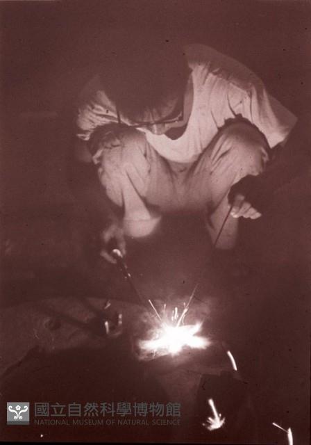1950至2006年臺灣常民生活藏品圖，第1張