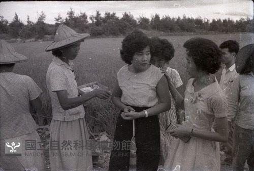 1950至2006年臺灣常民生活藏品圖，第1張
