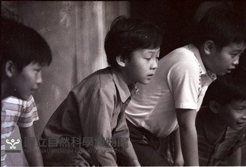1950至2006年臺灣常民生活藏品圖，第1張