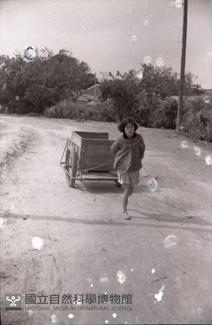 1950至2006年臺灣常民生活藏品圖，第1張
