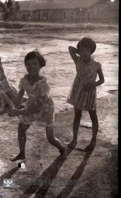 1950至2006年臺灣常民生活藏品圖，第1張