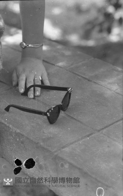 1950至2006年臺灣常民生活藏品圖，第1張