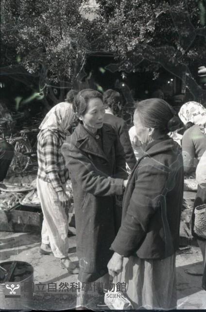 1950至2006年臺灣常民生活藏品圖，第1張