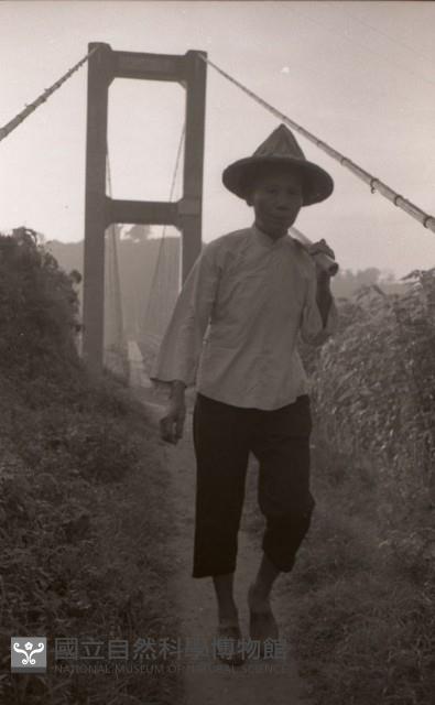 1950至2006年臺灣常民生活藏品圖，第1張