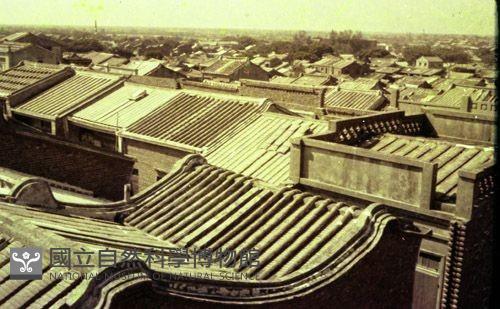 1950至2006年臺灣常民生活藏品圖，第1張