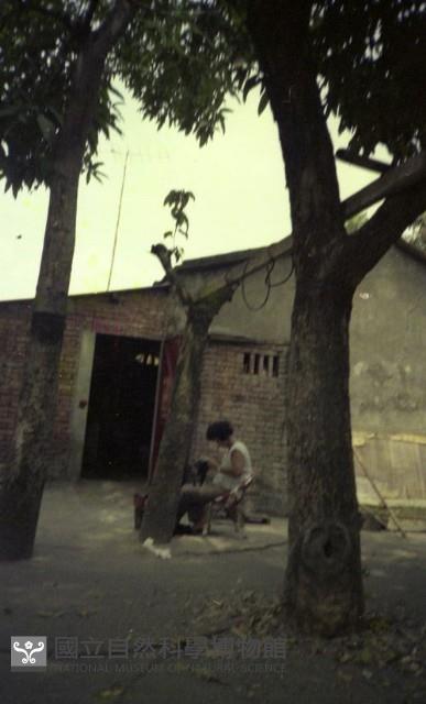 1950至2006年臺灣常民生活藏品圖，第1張