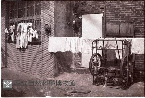 1950至2006年臺灣常民生活藏品圖，第1張