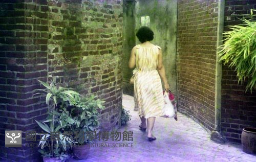 1950至2006年臺灣常民生活藏品圖，第1張