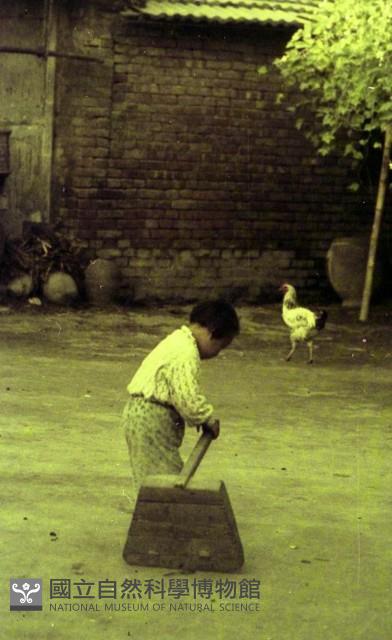 1950至2006年臺灣常民生活藏品圖，第1張