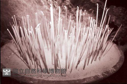 1950至2006年臺灣常民生活藏品圖，第1張