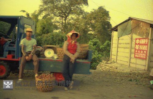 1950至2006年臺灣常民生活藏品圖，第1張