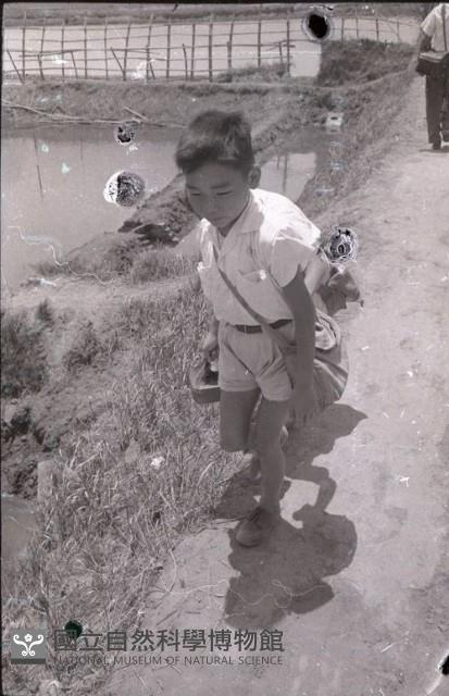 1950至2006年臺灣常民生活藏品圖，第1張