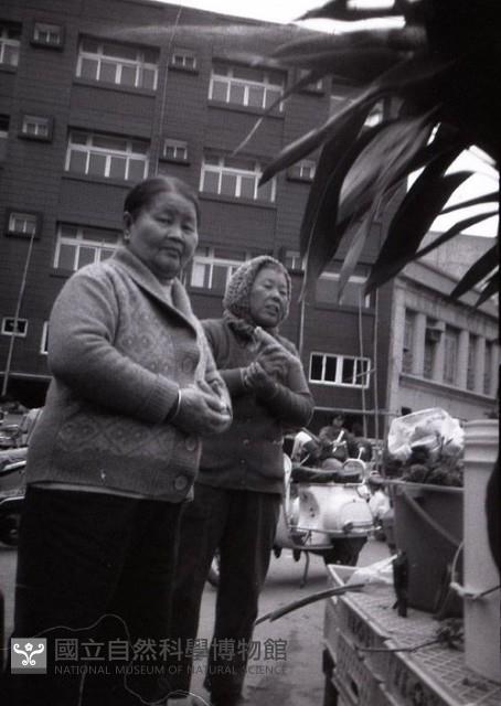 1950至2006年臺灣常民生活藏品圖，第1張