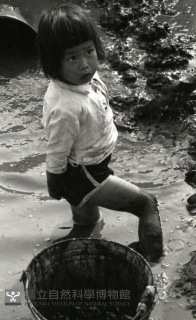 1950至2006年臺灣常民生活藏品圖，第1張