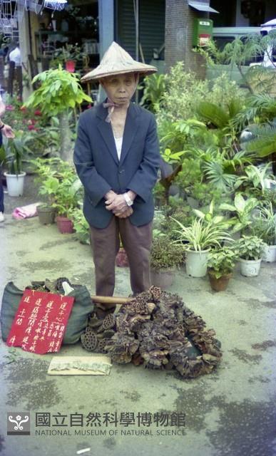 1950至2006年臺灣常民生活藏品圖，第1張