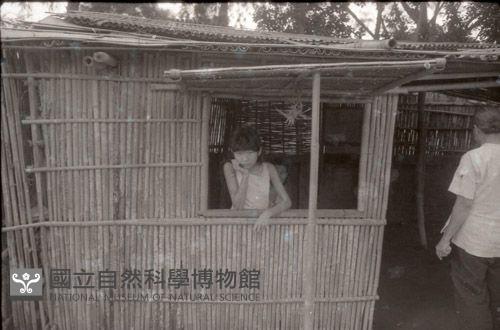 1950至2006年臺灣常民生活藏品圖，第1張