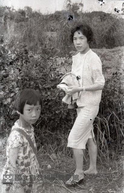 1950至2006年臺灣常民生活 藏品圖，第1張