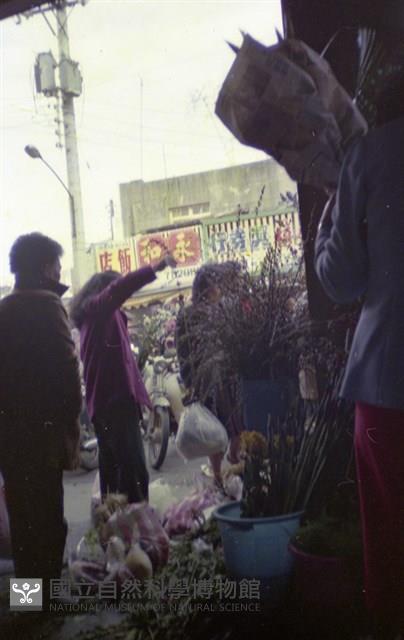 1950至2006年臺灣常民生活藏品圖，第1張