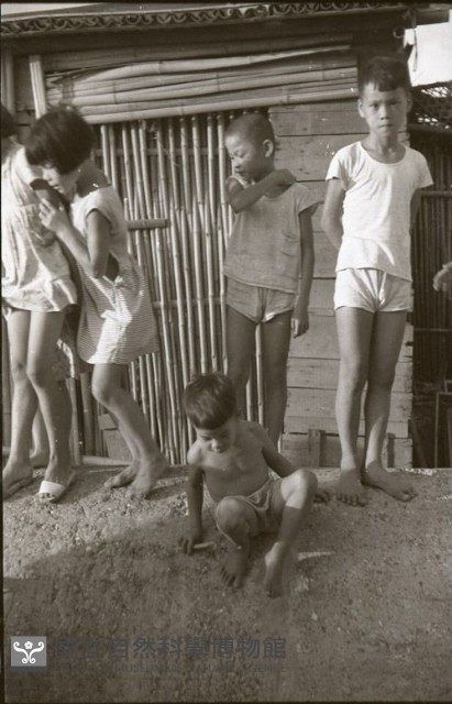 1950至2006年臺灣常民生活藏品圖，第1張