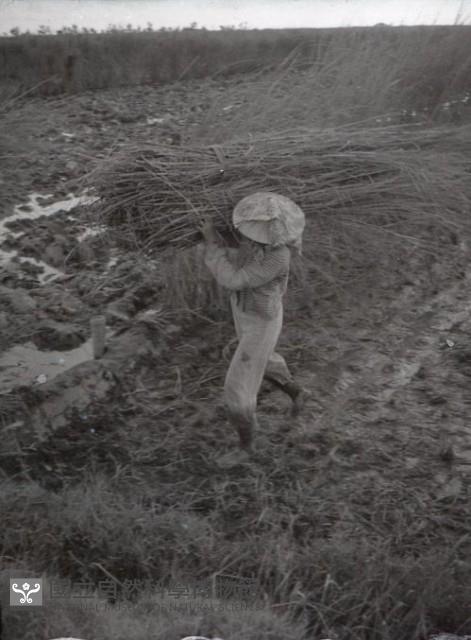 1950至2006年臺灣常民生活藏品圖，第1張