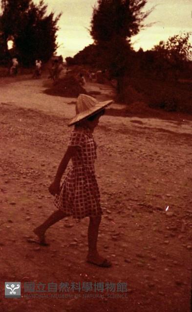 1950至2006年臺灣常民生活藏品圖，第1張