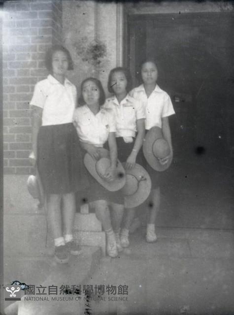 1950至2006年臺灣常民生活藏品圖，第1張