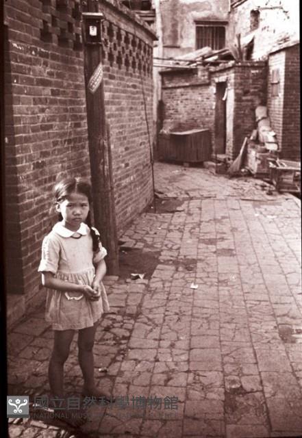 1950至2006年臺灣常民生活藏品圖，第1張