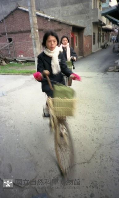 1950至2006年臺灣常民生活藏品圖，第1張