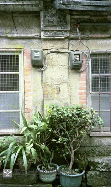 1950至2006年臺灣常民生活藏品圖，第1張