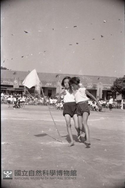 1950至2006年臺灣常民生活藏品圖，第1張