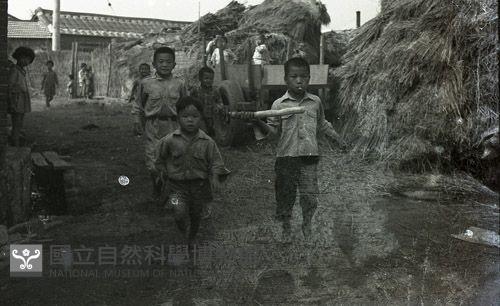 1950至2006年臺灣常民生活 藏品圖，第1張