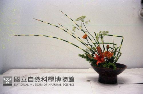 1950至2006年臺灣常民生活藏品圖，第1張