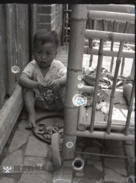 1950至2006年台灣常民生活藏品圖，第1張