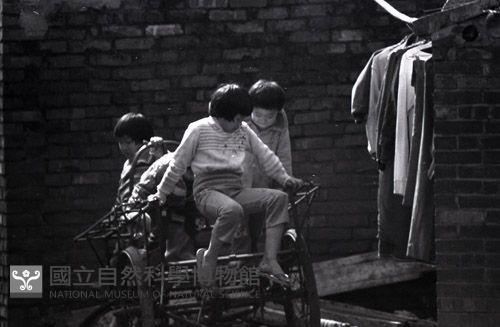 1950至2006年台灣常民生活(No:583 黑)藏品圖，第1張