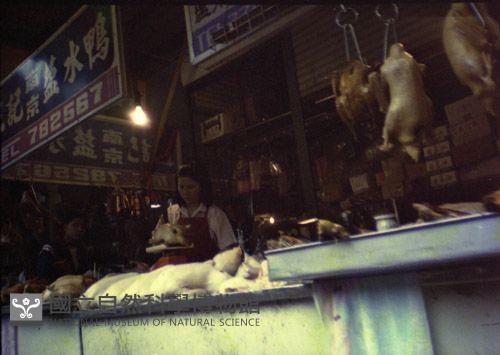 1950至2006年臺灣常民生活藏品圖，第1張