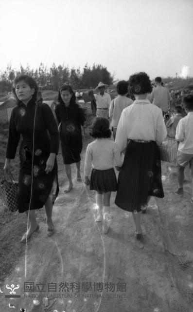 1950至2006年臺灣常民生活藏品圖，第1張