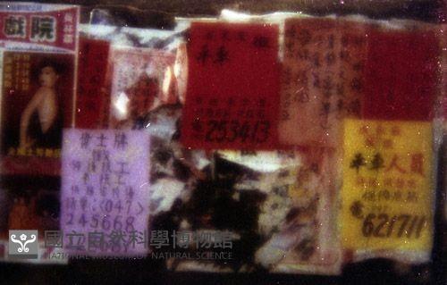 1950至2006年臺灣常民生活藏品圖，第1張