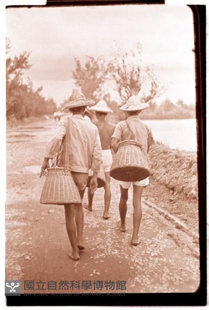 1950至2006年臺灣常民生活藏品圖，第1張