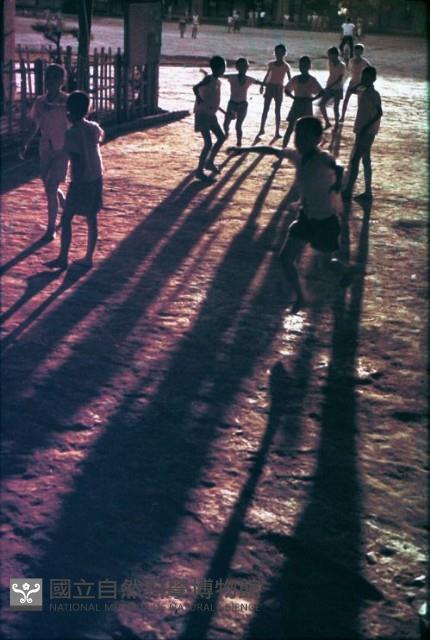 1950至2006年臺灣常民生活藏品圖，第1張