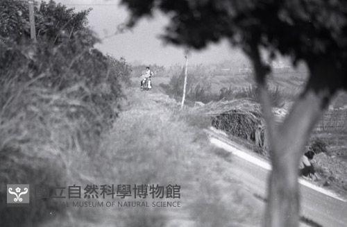 1950至2006年台灣常民生活藏品圖，第1張