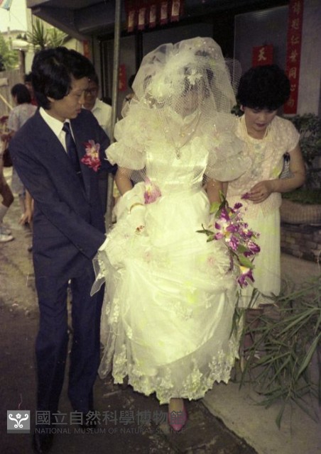 1950至2006年臺灣常民生活藏品圖，第1張