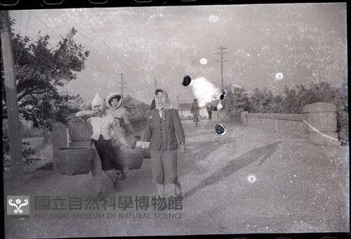 1950至2006年臺灣常民生活藏品圖，第1張