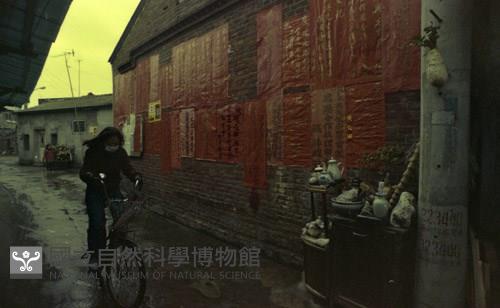 1950至2006年臺灣常民生活藏品圖，第1張