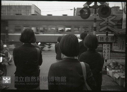 1950至2006年臺灣常民生活藏品圖，第1張
