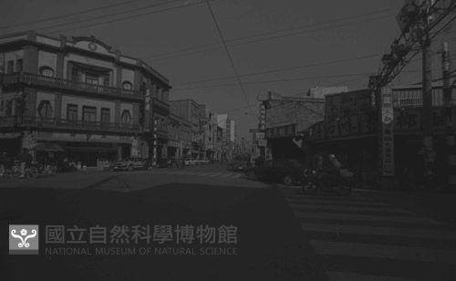 1950至2006年臺灣常民生活藏品圖，第1張