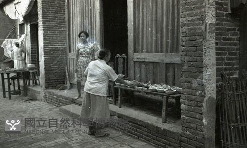 1950至2006年臺灣常民生活藏品圖，第1張