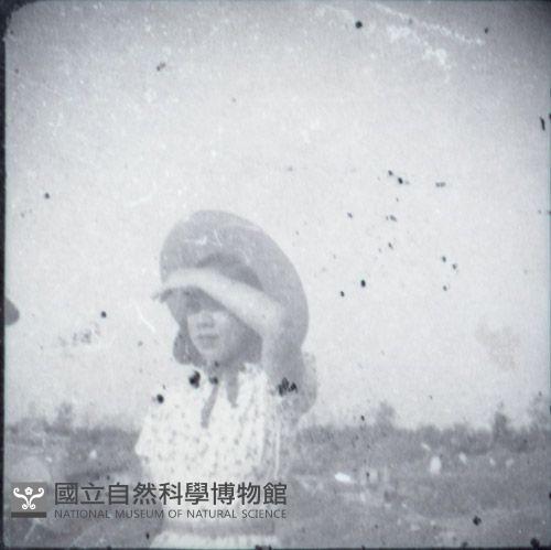 1950至2006年臺灣常民生活藏品圖，第1張