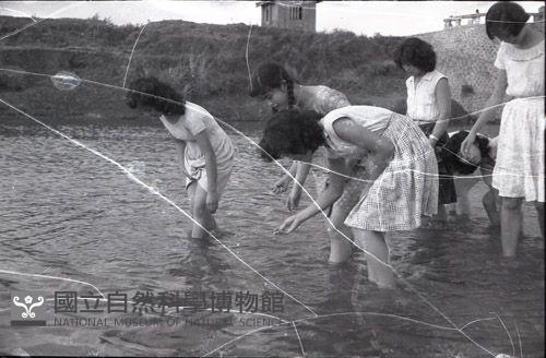 1950至2006年臺灣常民生活藏品圖，第1張
