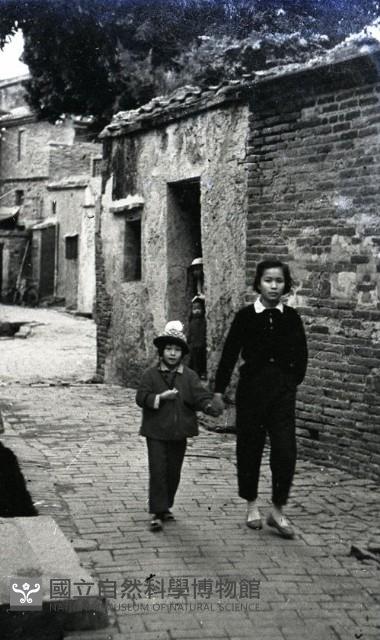 1950至2006年臺灣常民生活藏品圖，第1張