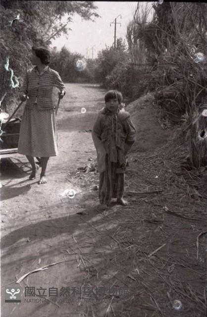 1950至2006年臺灣常民生活藏品圖，第1張